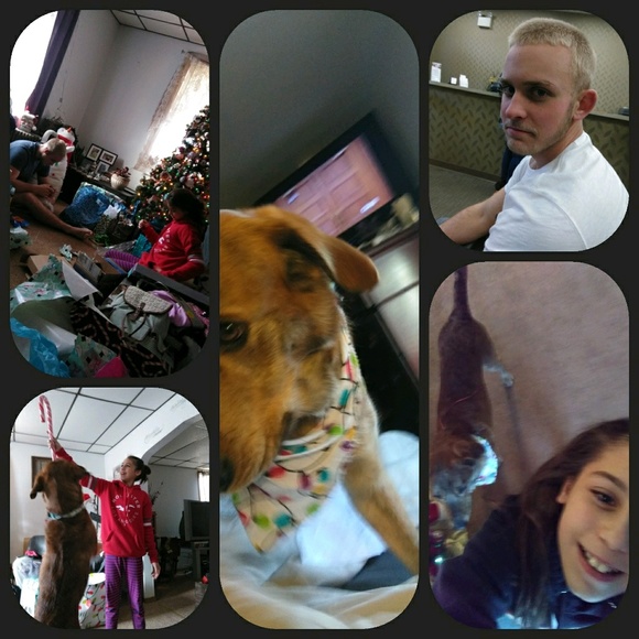 Meet your Posher, Deanna - Picture 1 of 1